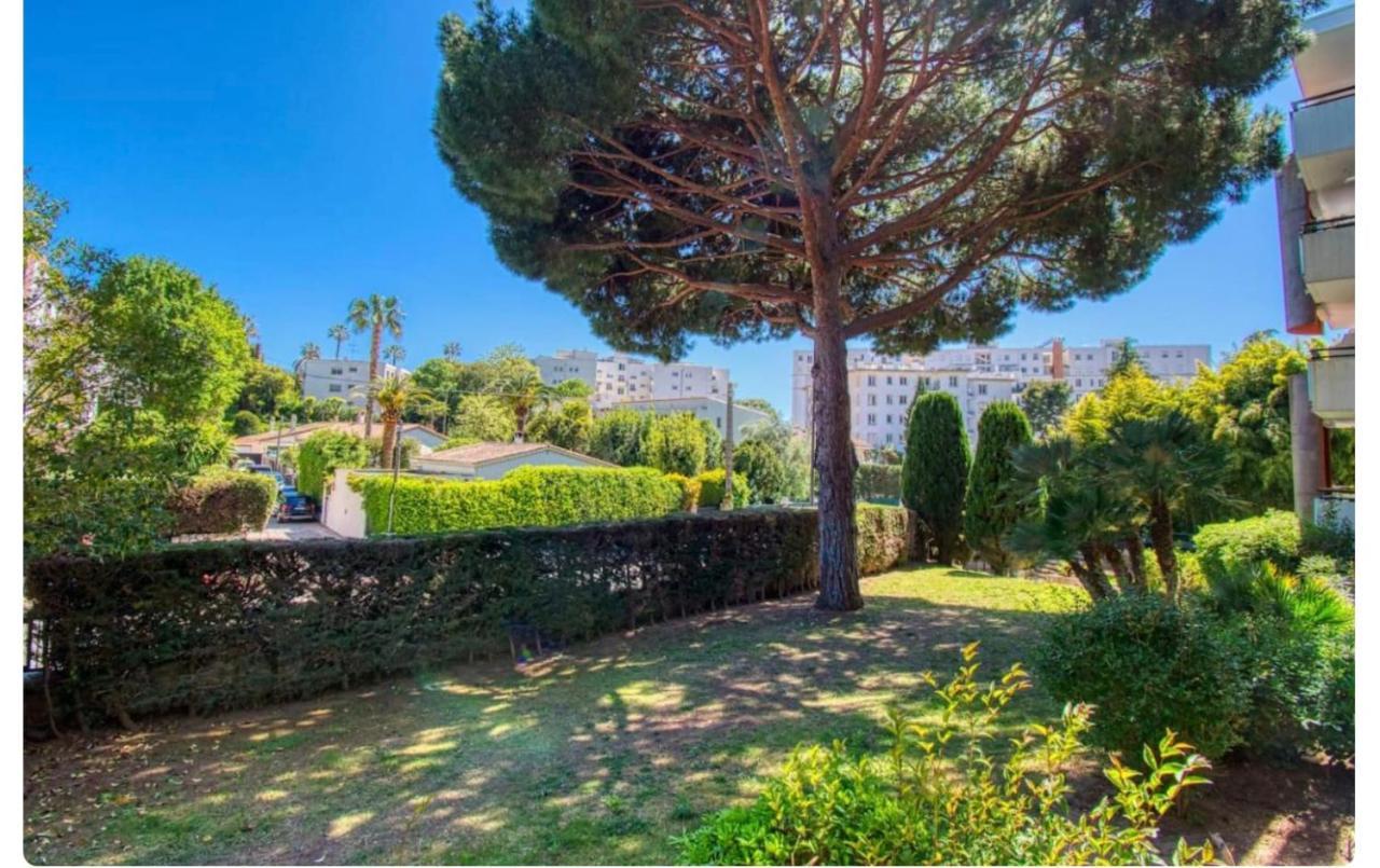 Superbe Studio Lumineux Sur Cannes Avec Terrasse ! A Quelques Minutes De La Celebre Rue D'Antibes ! Exteriör bild